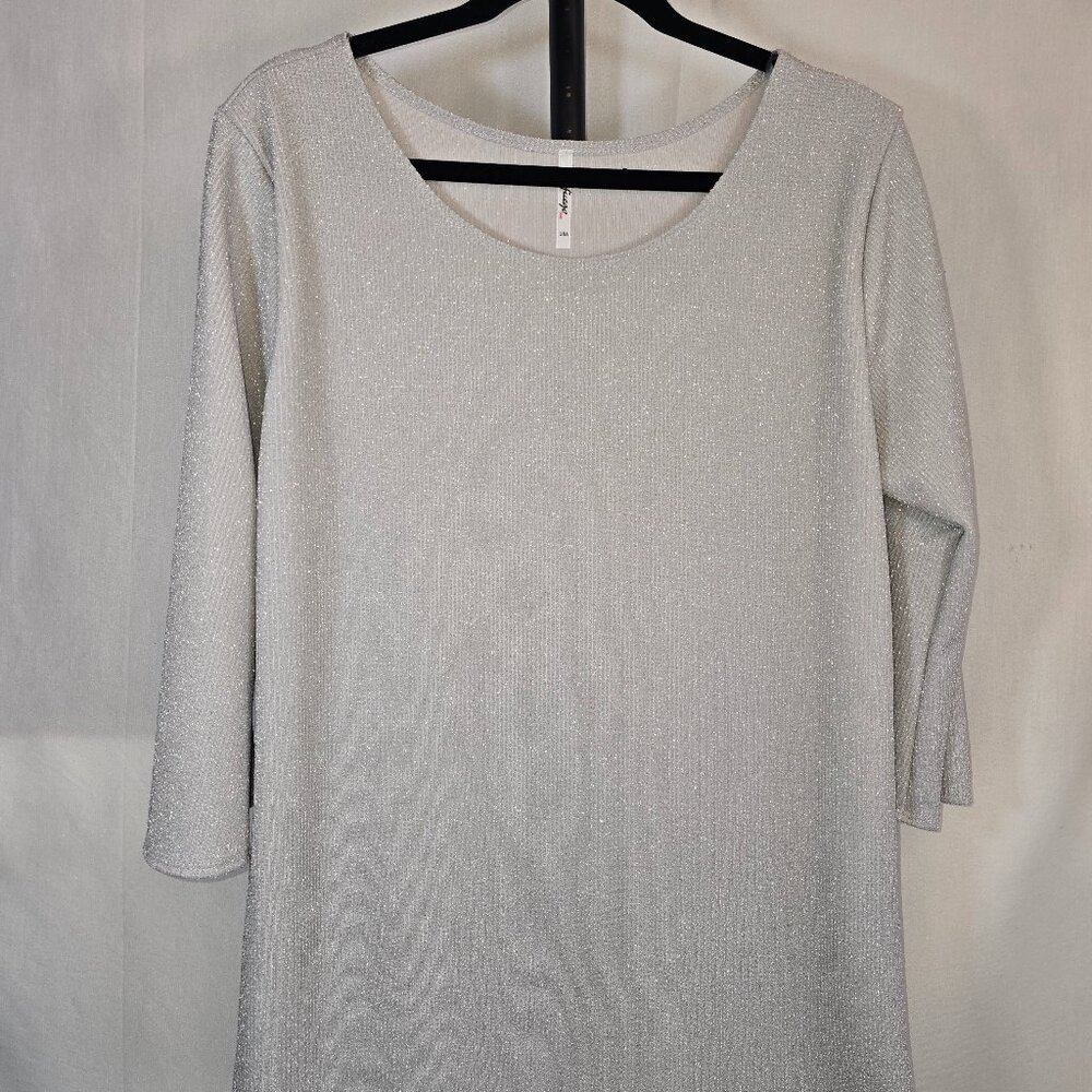 Sparkling Silver Quarter length Sleeve Blouse PLUS